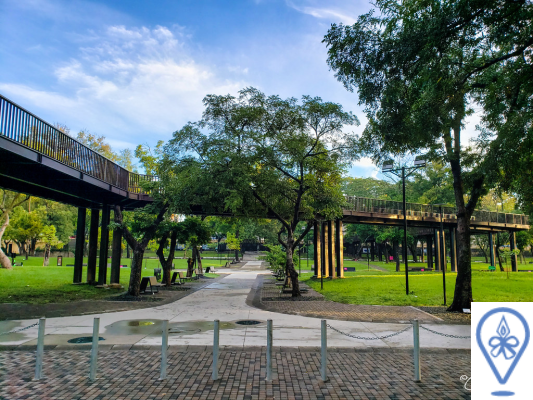 El Parque Cuscatlán: Encuentros y Naturaleza Urbana