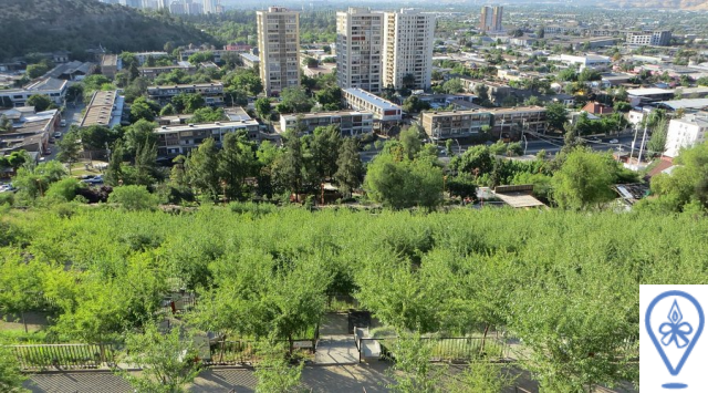 El Parque Bicentenario: Naturaleza en la Ciudad